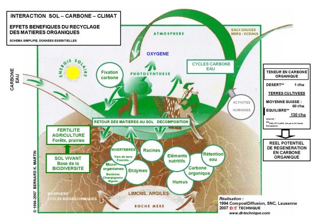 Annexe cycle carbone 2007-page-001 (1)