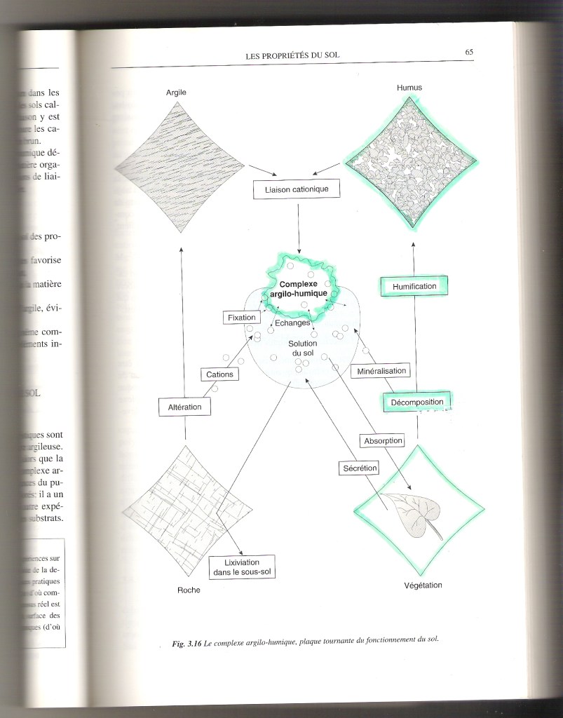 Doc Facebook Gobat al argilohumique 2